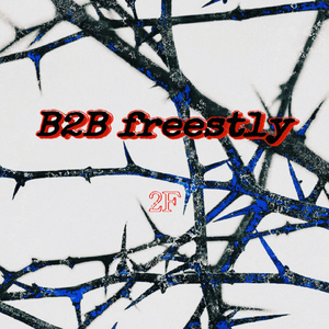 B2B Freestly