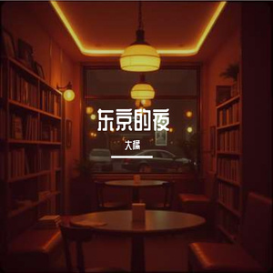东京的夜