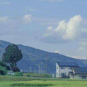 桥豆麻袋（男声翻唱）