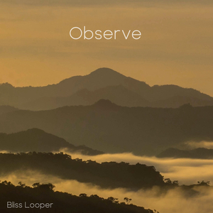 Observe