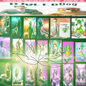 WEEDOG BATER NA TELA DO SEU COMPUTADOR NÃO VAI FAZER ELA FUNCIONAR