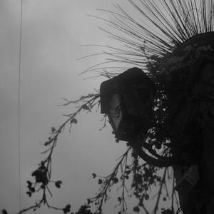 demo_sala_orquestral_out_2023 (Live)