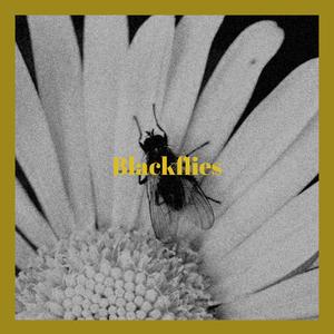 Blackflies