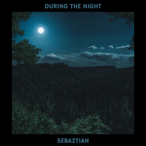 During the Night (Radio Edit)