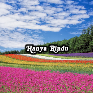 Hanya Rinduuu