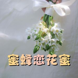 蜜蜂恋花蜜（伴奏）