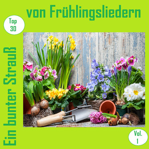Frühling im Vorharzer Land