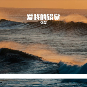 用一百个细节证明爱我的错觉