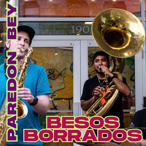 BESOS BORRADOS
