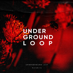 Calabria (Original Mix)