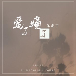 爱了痛了你走了