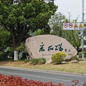 江边的小马