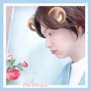 『韩语治愈』小熊藏进冬天，万物开始冬眠
