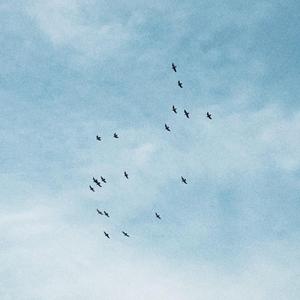 雨天的生活方式