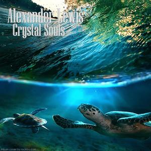 The Bottom's Spiders