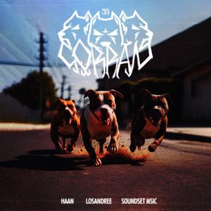 Corran (feat. SoundSet Msic & Haan)