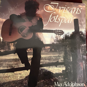 Den underbara sommaren