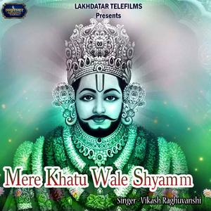 Mere Khatu Wale Shyamm
