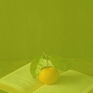 柔和的正在读书时刻