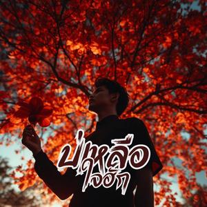 บ่เหลือใจฮัก