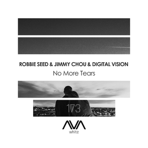 No More Tears (Extended Mix)