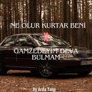 Ne Olur Kurtar Beni X Gamzedeyim Deva Bulmam