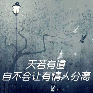 天若有道自不会让有情人分离