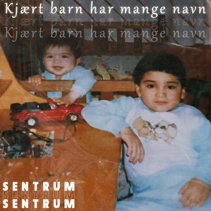 Kjært barn har mange navn