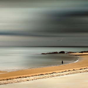 爱情故事（送给...）（Cover 美国电影《爱情故事》插曲）