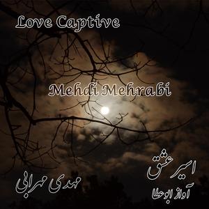 Love Captive