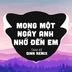 Mong Một Ngày Anh Nhớ Đến Em (Qinn Remix)
