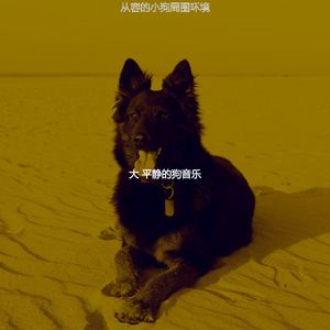 柔和的小狗时刻