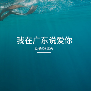 我在广东说爱你