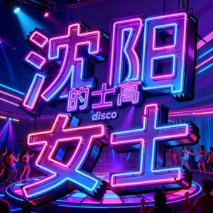 沈阳的士高女士