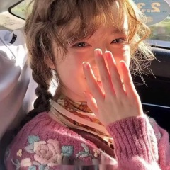 你一句春不晚我就到了真江南 (DJ版)