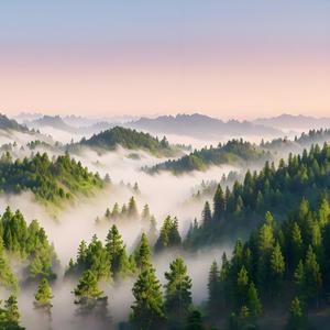 真实雨声 最适合睡觉的雨声