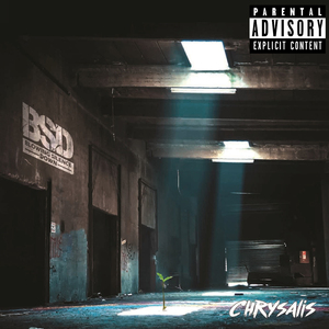 Cold Winter Of My Soul (Snow)