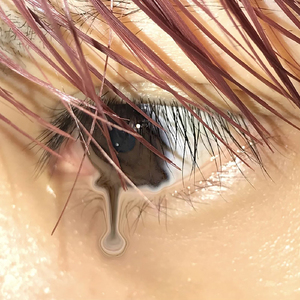 とき・めき・馬鹿・みたい