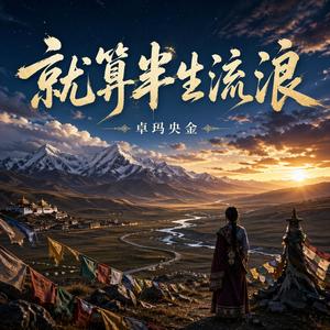 就算半生流浪