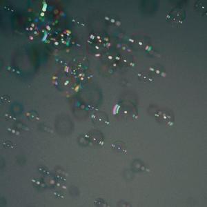 白鸽乌鸦相爱的戏码只会出现在童话