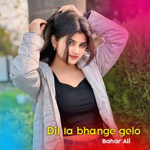 Dil Ta Bhange Gelo