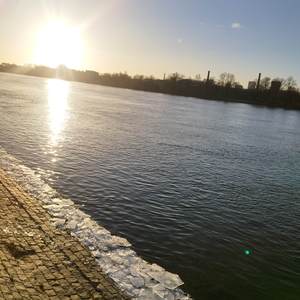 Полосатые тики (Иннокентий Анненский)