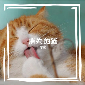 《小猫别走》