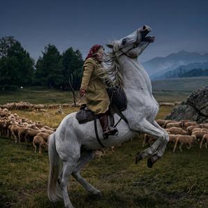 Koşu Koşuver Nargözlüm (feat. Mine'l)