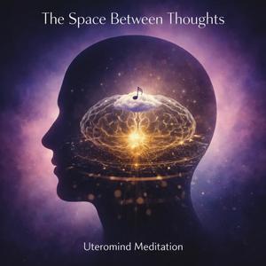 Still Mind in Open Inner Space