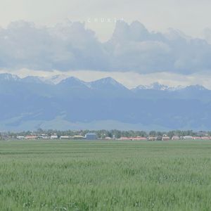 春之声