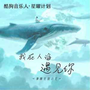 我在人海遇见你 (无独白版)