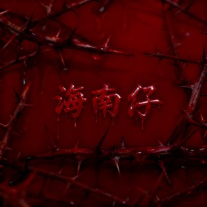海南仔