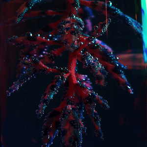 Lost and Found (Found Mix)