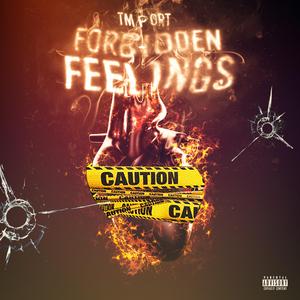 Forbidden Feelings